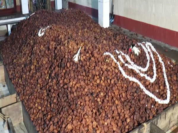 Padubidri Ganapathi Temples appa service attracted the attention of all