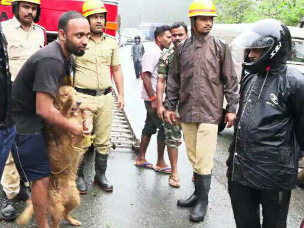 A young man walked 15 km from Madikeri and protected the dog 