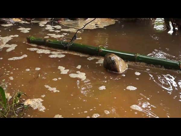 Agriculturist stands as a role model in earning money during rainy season
