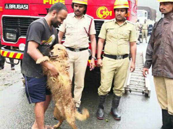 A young man walked 15 km from Madikeri and protected the dog 