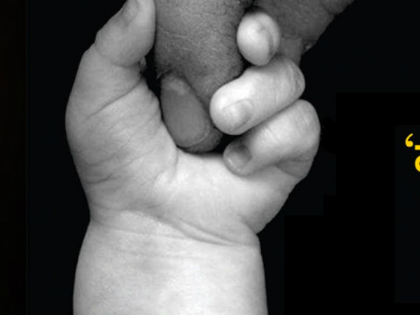 Shradhdha and Stainless Steel paathregalu KH Kalasoudha