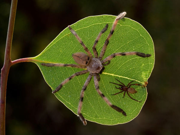 ಡಿ.ಜಿ.ಮಲ್ಲಿಕಾರ್ಜುನ ಬಗ್ಗೆ ಮಾಹಿತಿ