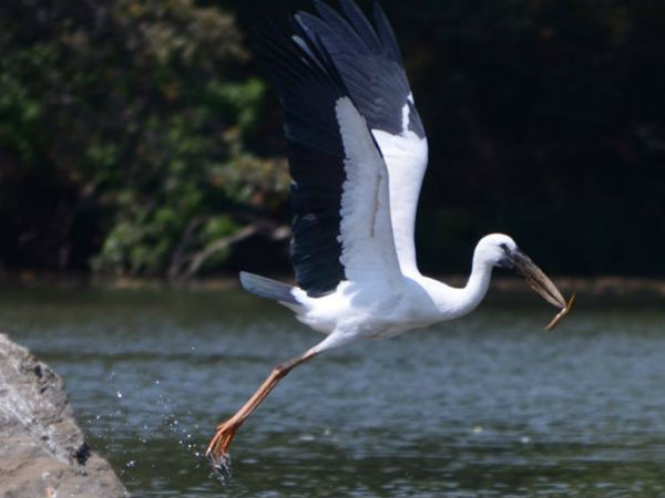 ರಂಗನತಿಟ್ಟು ಪಕ್ಷಿಧಾಮಕ್ಕೆ ಪ್ರವೇಶ ಇಲ್ಲ