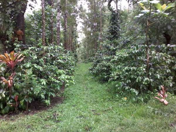 Deepak Mayur filed a complaint against Kannada Actor Kichcha Sudeep 