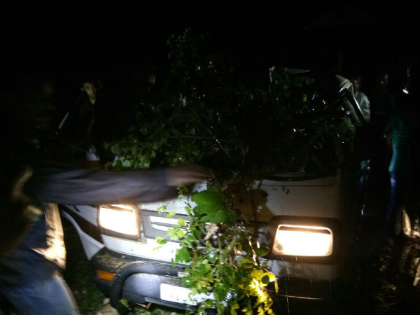 For heavy wind tree fell on the omini, two were injured For heavy wind tree fell on the omini, two were injured