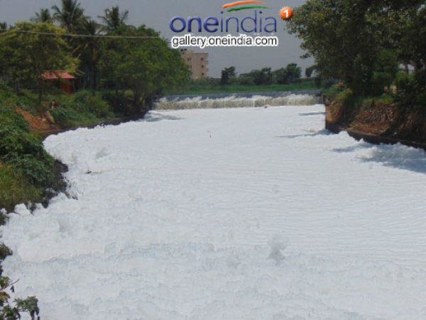 ವೃಷಭಾವತಿ ಒಡಲಿಗೆ ನಿತ್ಯ 484 ದಶಲಕ್ಷ ಲೀಟರ್ ಕೊಳಚೆ ನೀರು ವೃಷಭಾವತಿ ಒಡಲಿಗೆ ನಿತ್ಯ 484 ದಶಲಕ್ಷ ಲೀಟರ್ ಕೊಳಚೆ ನೀರು