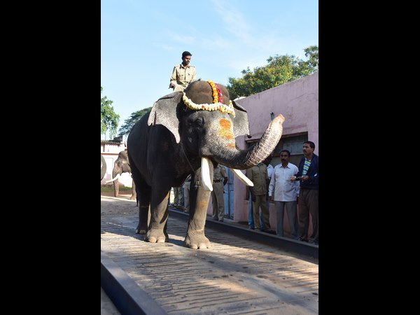  ಸುಸ್ತಾಗದಂತೆ ನೋಡಿಕೊಳ್ಳುವುದು ಮುಖ್ಯ