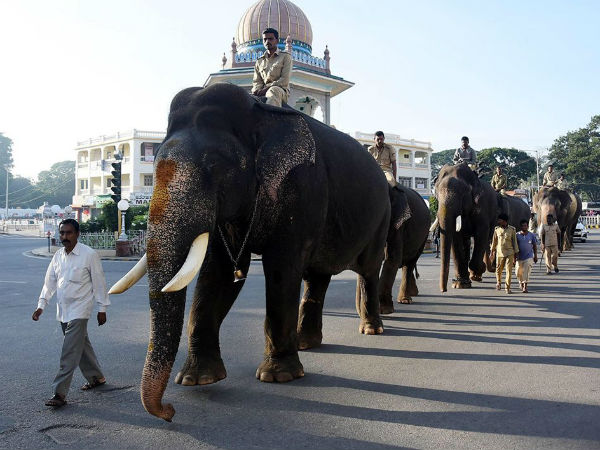  ತಾಲೀಮು ಶುರು
