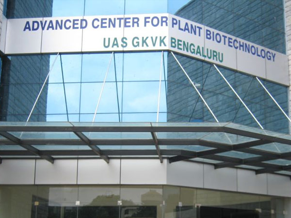 ಹೆಬ್ಬಾಳಕ್ಕೆ ಸ್ಥಳಾಂತರಗೊಂಡಿತು ಹೆಬ್ಬಾಳಕ್ಕೆ ಸ್ಥಳಾಂತರಗೊಂಡಿತು