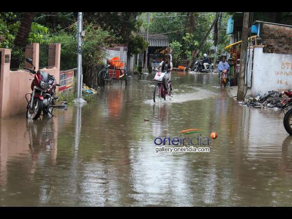 ರುದ್ರಪ್ಪ ಗಾರ್ಡನ್