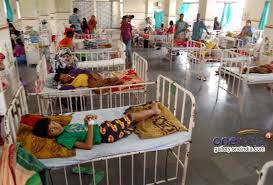 ಈಡೀಸ್ ಸೊಳ್ಳೆ ನೋಡಲು ಹೇಗಿರುತ್ತದೆ 