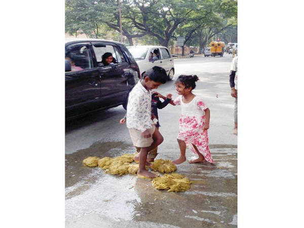  Full demand to Elephants shit in Mysuru