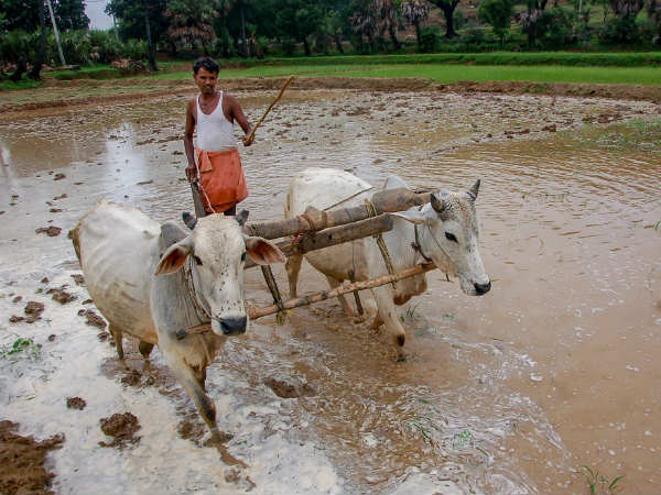 ಸರಕಾರ ಜನರ ಮನೆಬಾಗಿಲಿಗೆ ತಲುಪಿಸುವುದು