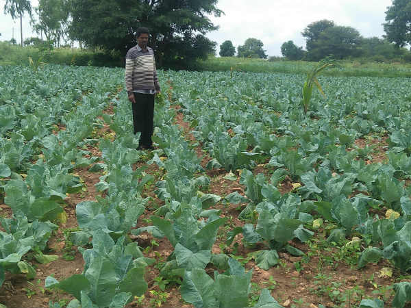 ಎರೆಹುಳು ಗೊಬ್ಬರ ತೊಟ್ಟಿ