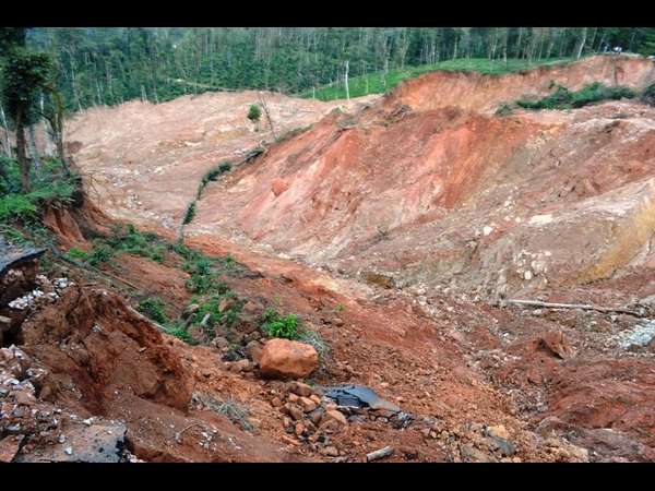 ಕಾಫಿ ಬೆಳೆಗಾರರಿಗೆ ಉಂಟಾದ ನಷ್ಟ