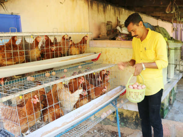ಹೊಸ ತಂತ್ರಜ್ಞಾನದ ಕೋಳಿ ಫಾರಂ
