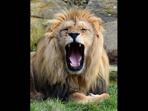 ಮರಣೋತ್ತರ ವರದಿಯ ನಿರೀಕ್ಷೆಯಲ್ಲಿ