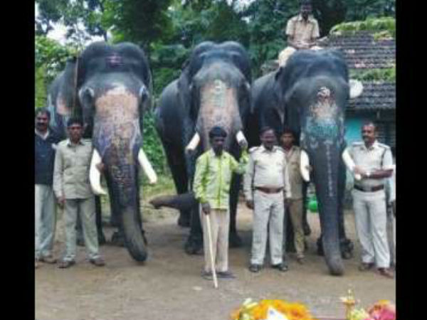 ಅರ್ಜುನನ ಹೈಲೈಟ್ಸ್ 