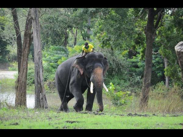  ವರವ ಕೊಡುವ ವರಲಕ್ಷ್ಮೀ 