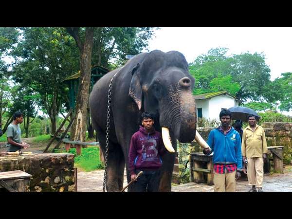  ಪೂಜಾ ವಿಧಾನದಲ್ಲಿ ಭಾಗವಹಿಸುವ ವಿಕ್ರಮ 
