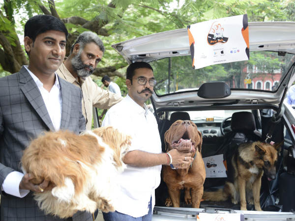 ಹೊರ ಸಂಚಾರಕ್ಕೆ ಕರೆದೊಯ್ಯಬಹುದಾಗಿದೆ