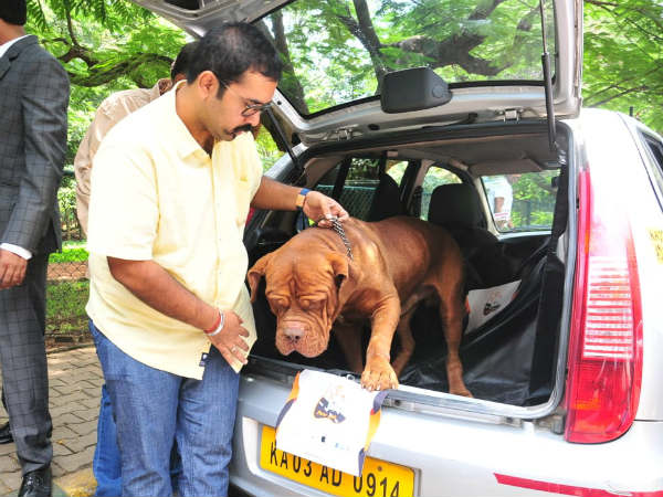ಸಾಕುಪ್ರಾಣಿಗಳ ಶವಾಗಾರಕ್ಕೆ ಸಾಗಿಸಲಿದೆ