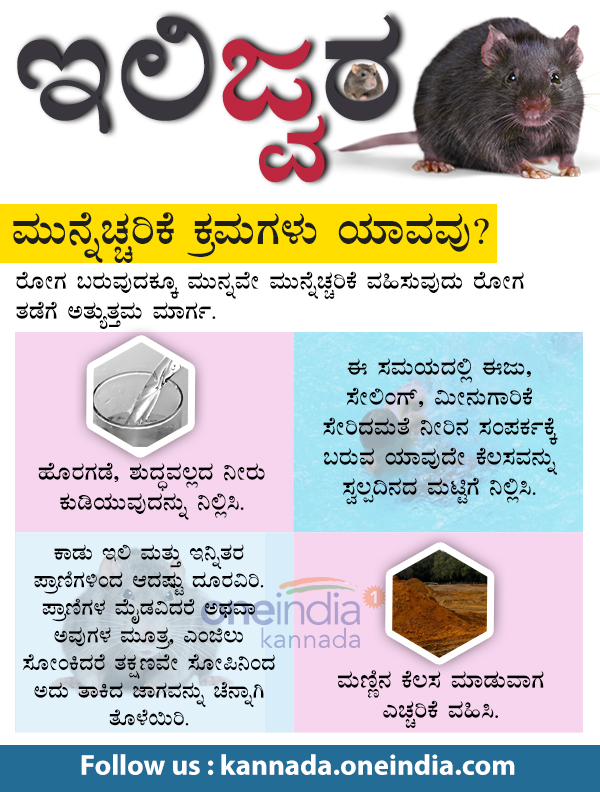 What is Leptospirosis: symptoms, precautionary measures in Infographics