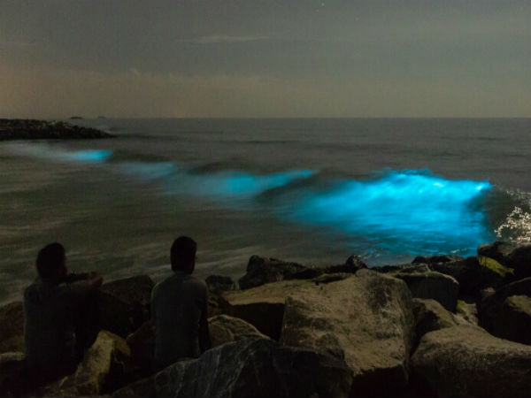 ವರ್ಷವಿಡೀ ಇರದು ಈ ಅಪರೂಪದ ದೃಶ್ಯ