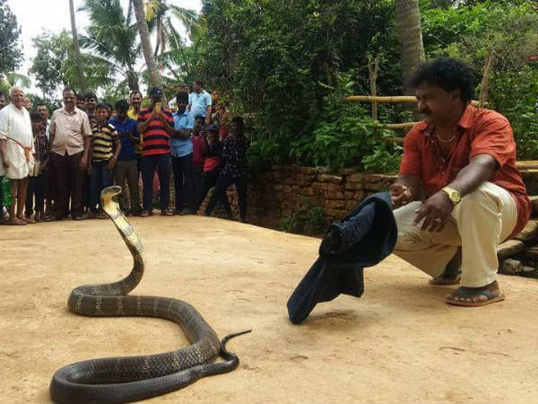 ಬೆತ್ತದ ಬದಲು ಕೈಯಲ್ಲಿ ಹಾವು