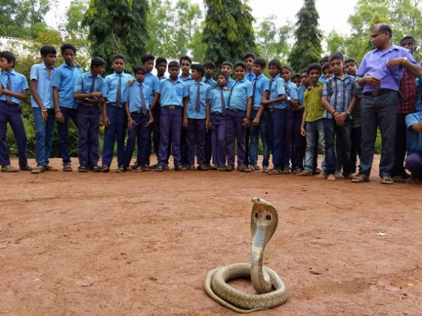 ಹಲಸಿನಕಾಯಿ ಚೀಲ ತನ್ರೋ