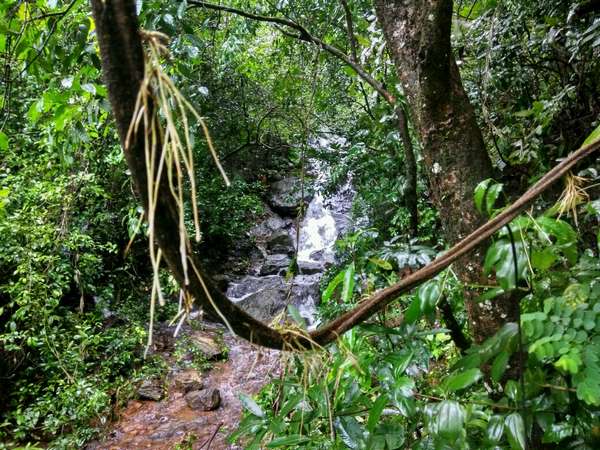 ಸಂಬಂಧಿಕರು ಅನೇಕ