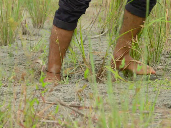  ಭೂಮಿಯೊಳಗೆ ಹೋಗುವುದಿಲ್ಲ ಕಾಲು 