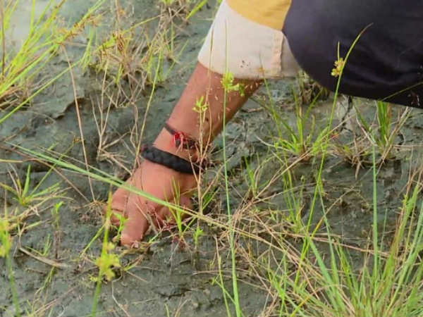  ಇಲ್ಲಿ ನೀರಿಲ್ಲ 