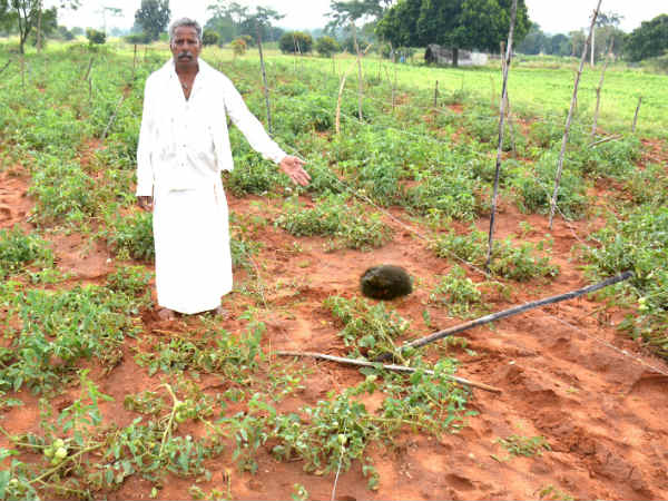  ಚಿರತೆಯ ಕಾಟಕ್ಕೆ ಜನ ಹೈರಾಣ
