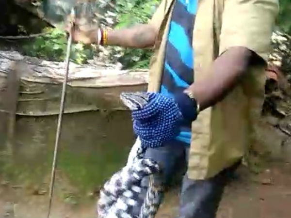 ಕುತೂಹಲ ಮೂಡಿಸಿತ್ತು ಕುತೂಹಲ ಮೂಡಿಸಿತ್ತು