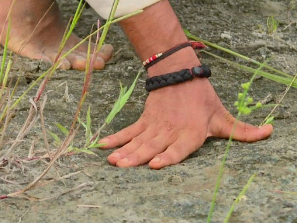  ಮೃದುವಾದ ಭೂಮಿ 