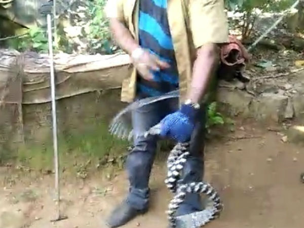 ಹಾವು ಹಿಡಿಯುವಲ್ಲಿ ಸಫಲ ಹಾವು ಹಿಡಿಯುವಲ್ಲಿ ಸಫಲ