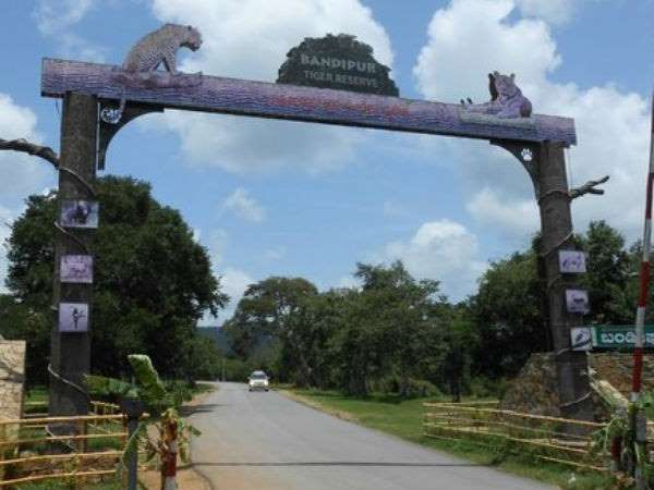 ಬಂಡೀಪುರದಲ್ಲಿ ಮೇಲ್ಸೇತುವೆ ನಿರ್ಮಾಣಕ್ಕೆ ವಿರೋಧ 