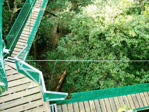 ಫೆಬ್ರವರಿಯಲ್ಲಿ ಉದ್ಘಾಟನೆ