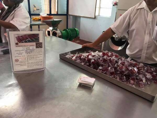  ಗಮನ ಸೆಳೆದ ತಂತ್ರಜ್ಞಾನ 