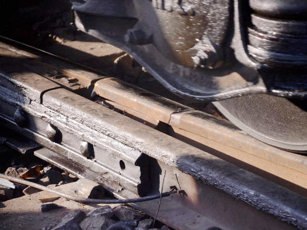 ಕಾಲು ನೋವನ್ನೂ ಮರೆತು ಓಡಿದ್ದಾರೆ