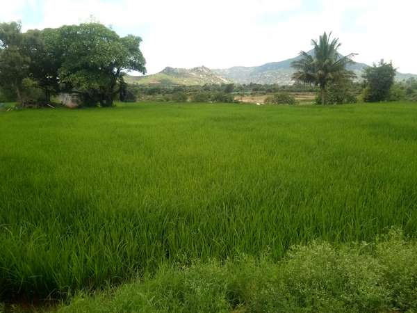 Inspirational story: Work culture lesson from these educated youths