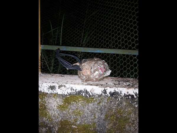 Two more explosives recovered from Ploya house