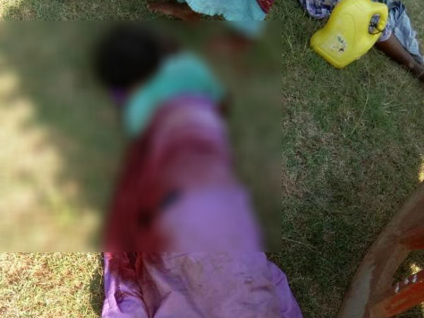 A woman was died when a wild elephant attacked