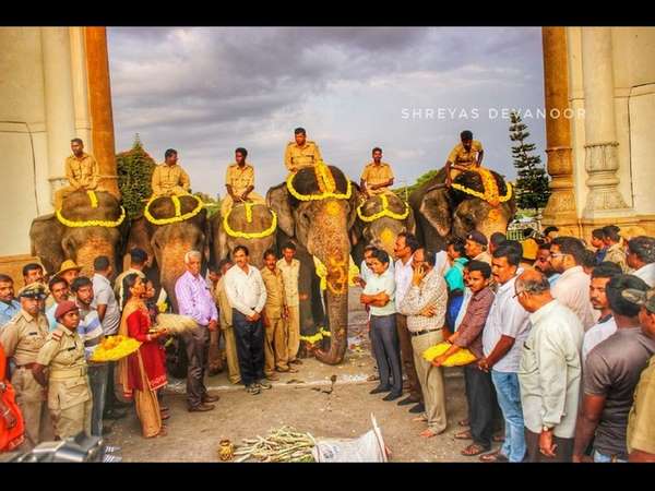 ದಸರಾ ಸರಳವಾಗಿದ್ದಷ್ಟೂ ಸುಂದರವಾಗಿರುತ್ತದೆ.
