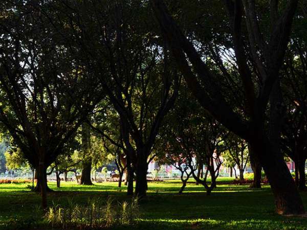 ಕಬ್ಬನ್ಪಾರ್ಕ್ನಲ್ಲಿ ಕಾರ್ಯಕ್ರಮ ಕಬ್ಬನ್ಪಾರ್ಕ್ನಲ್ಲಿ ಕಾರ್ಯಕ್ರಮ