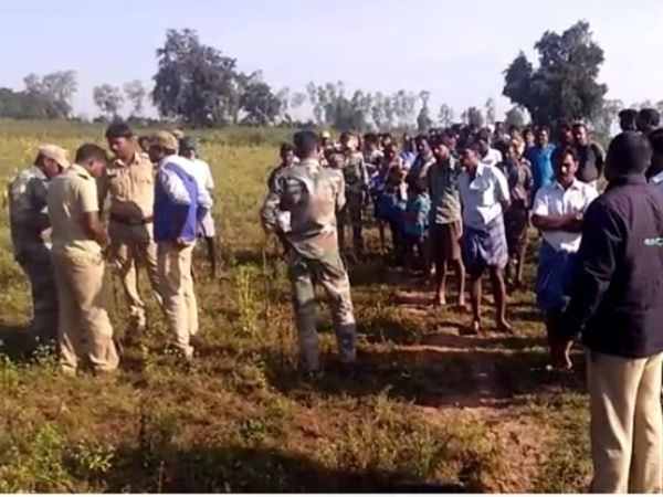 Forest department has been able to capture a female tiger in Agasana Hundi