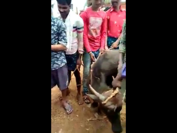 Animal sacrifice for the Villain movie