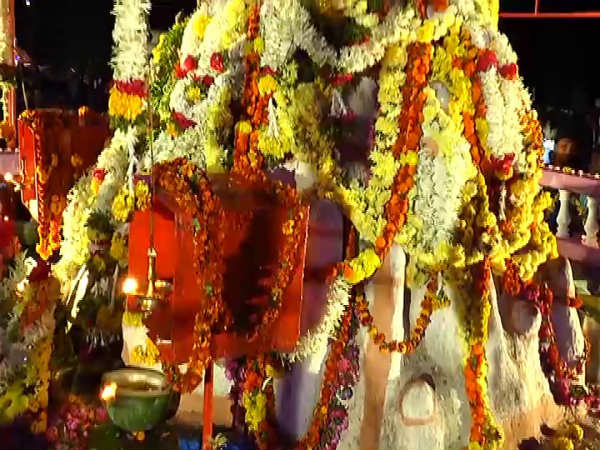  ದೇವರ ಕರುವೆಂದು ಕಾಡಿಗೆ ಬಿಡುತ್ತಾರೆ 