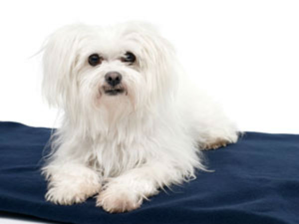  ಭಯ ಮತ್ತು ಆತಂಕ 